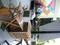 DSCN1671.JPG
