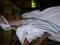 DSCN1739.JPG